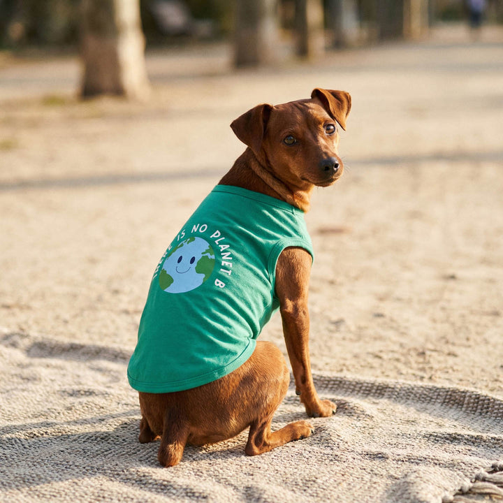 Dog wearing a green dog t-shirt with a graphic and text, sitting on a blanket outdoors