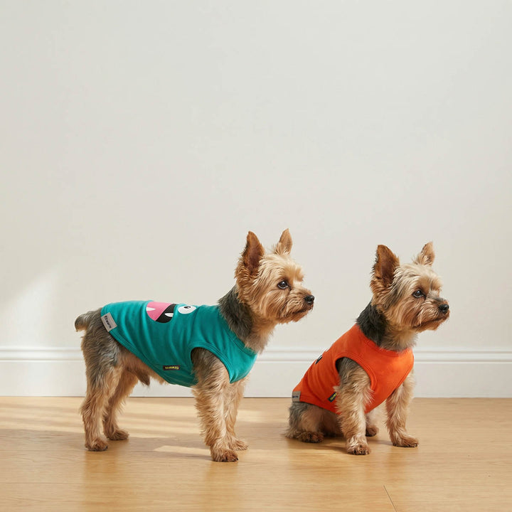 Two Yorkies sitting indoors with funny monster print dog tank tops