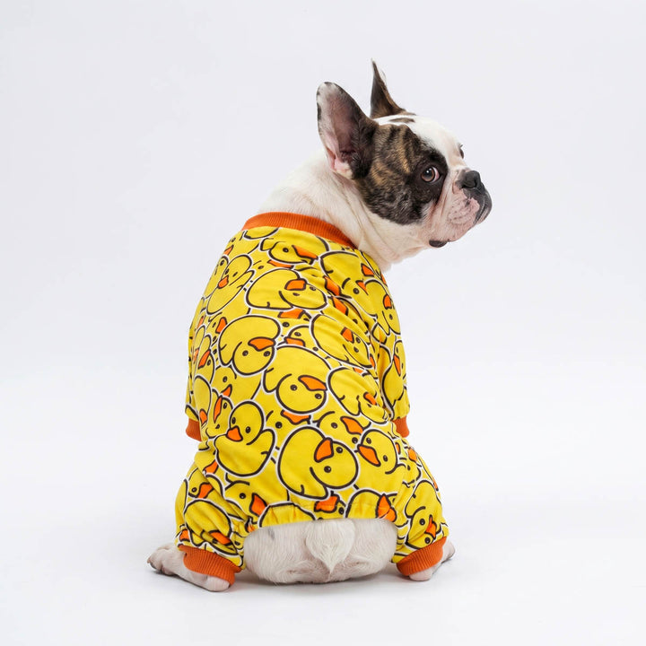 Dog wearing a yellow rubber duck pajama for dogs set on a white background
