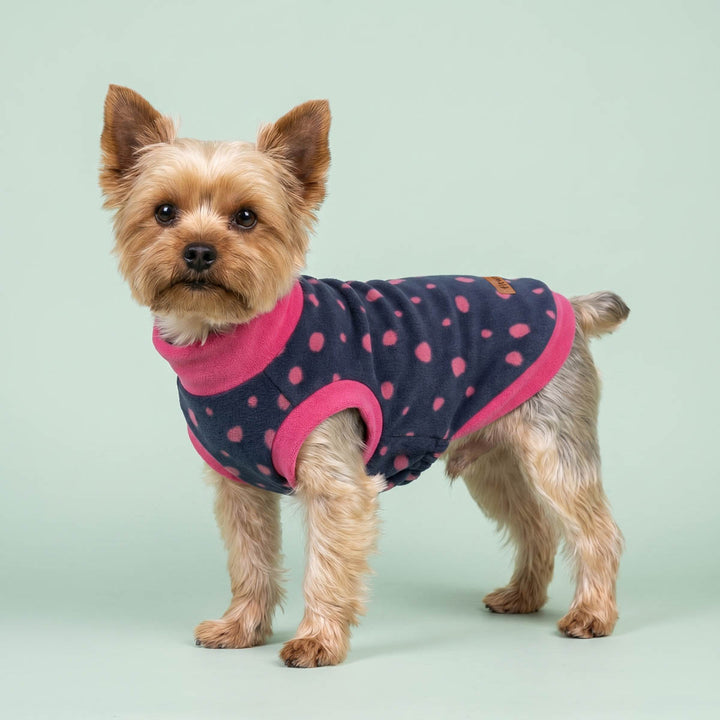 Cozy dog winter sweater worn by a Yorkie standing in a green background