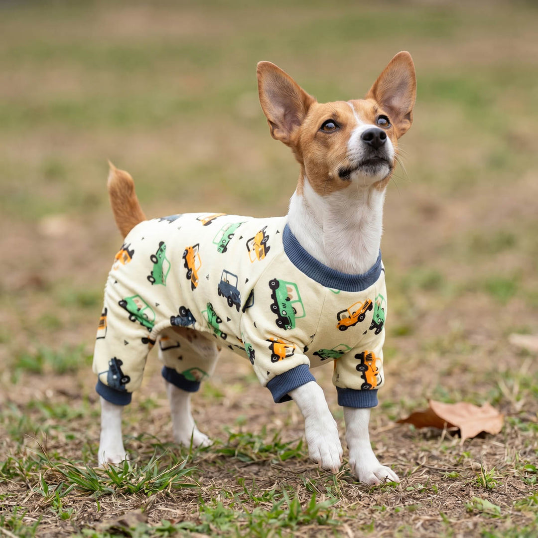 Dog wearing dog pajamas with vehicle patterns standing on grass