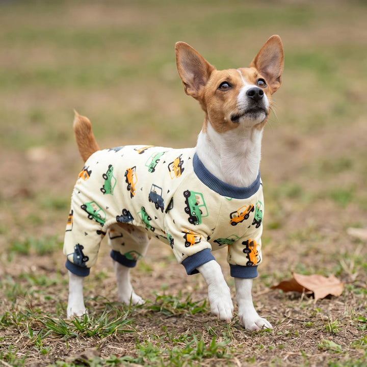 Dog wearing dog pajamas with vehicle patterns standing on grass