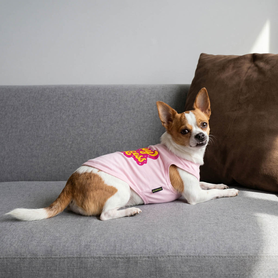 Small dog lying on the sofa with a pink dog tank top in 'Sassy princess' lettering