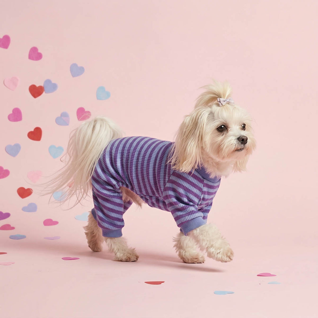 Purple striped pajamas for dogs worn by a small dog on a pink background with heart stickers