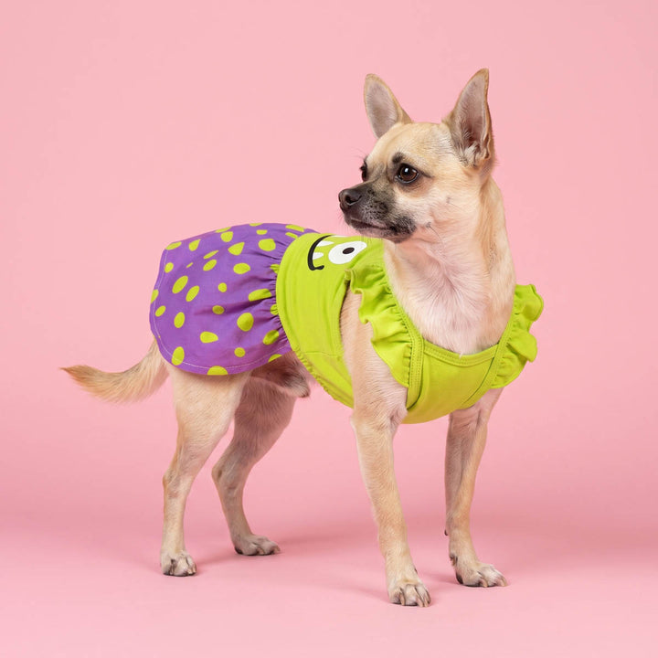 Chihuahua dog stands against a solid pink studio background wearing a bright lime green ruffled Halloween dog dress