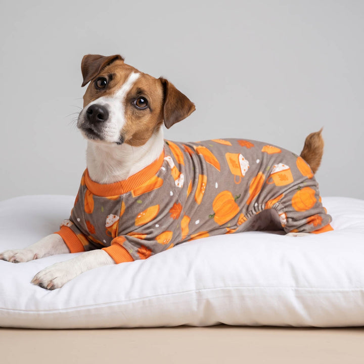 Jack Russell wearing a gray and orange patterned dog pjs, lying on a white cushion against a light gray background