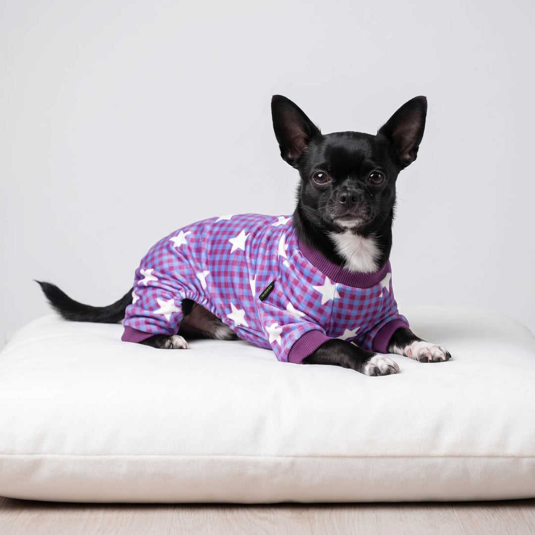 Small dog lying on a crushion and wearing a plaid star dog onesie
