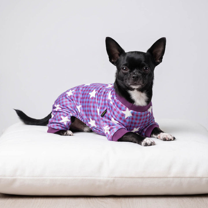 Small dog lying on a crushion and wearing a plaid star dog onesie