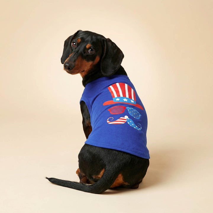 Dachshund looks back in a red, white, and blue dog t-shirt
