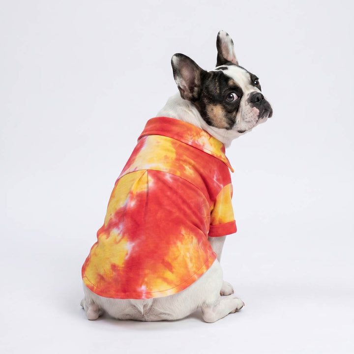 Back view of French Bulldog in a tie dye summer dog t shirt