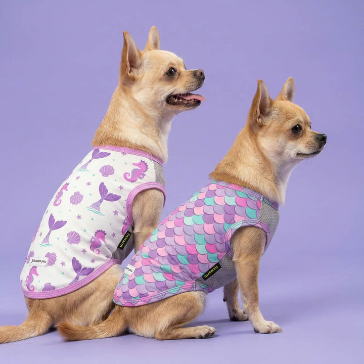 Two Chihuahua wearing purple dog tank top with mermaid and fish scale patterns on a purple background