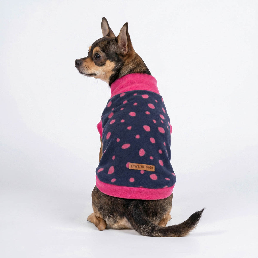 Back view of Chihuahua in a mock neck dog sweater with pink spots