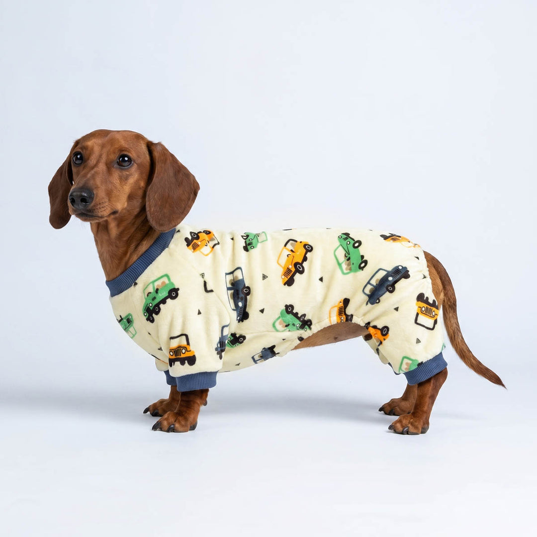 Dachshund wearing a dog fleece pajamas with car prints in a white background