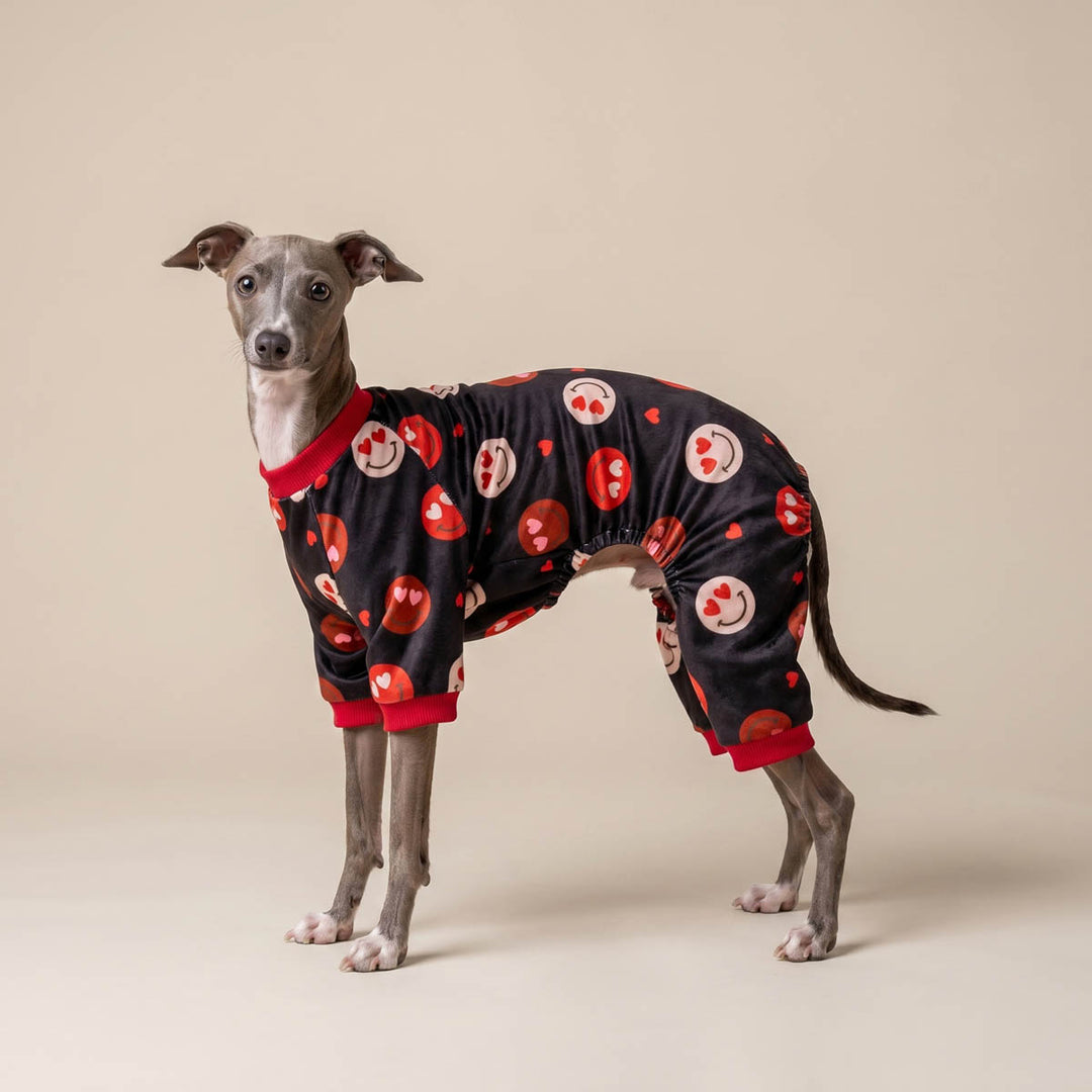 Funny Valentine pajamas for dogs worn by a Italian Greyhound