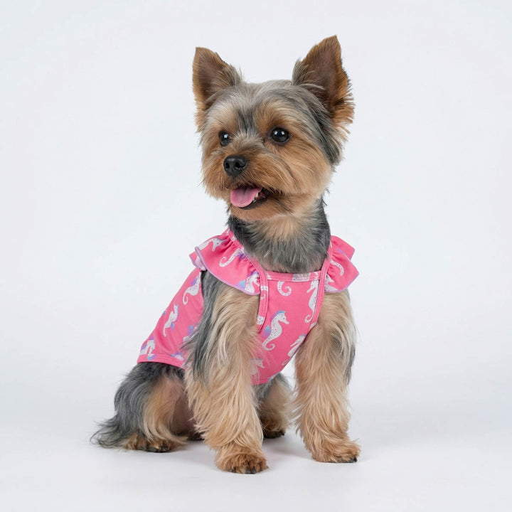 Yorkie sitting on a white background in a pink ruffle dog tshirt with seahorse prints