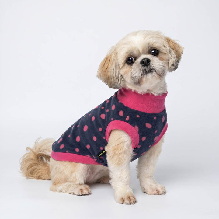 Small dog wearing a pink and navy polka dot sweater for dogs on a white background