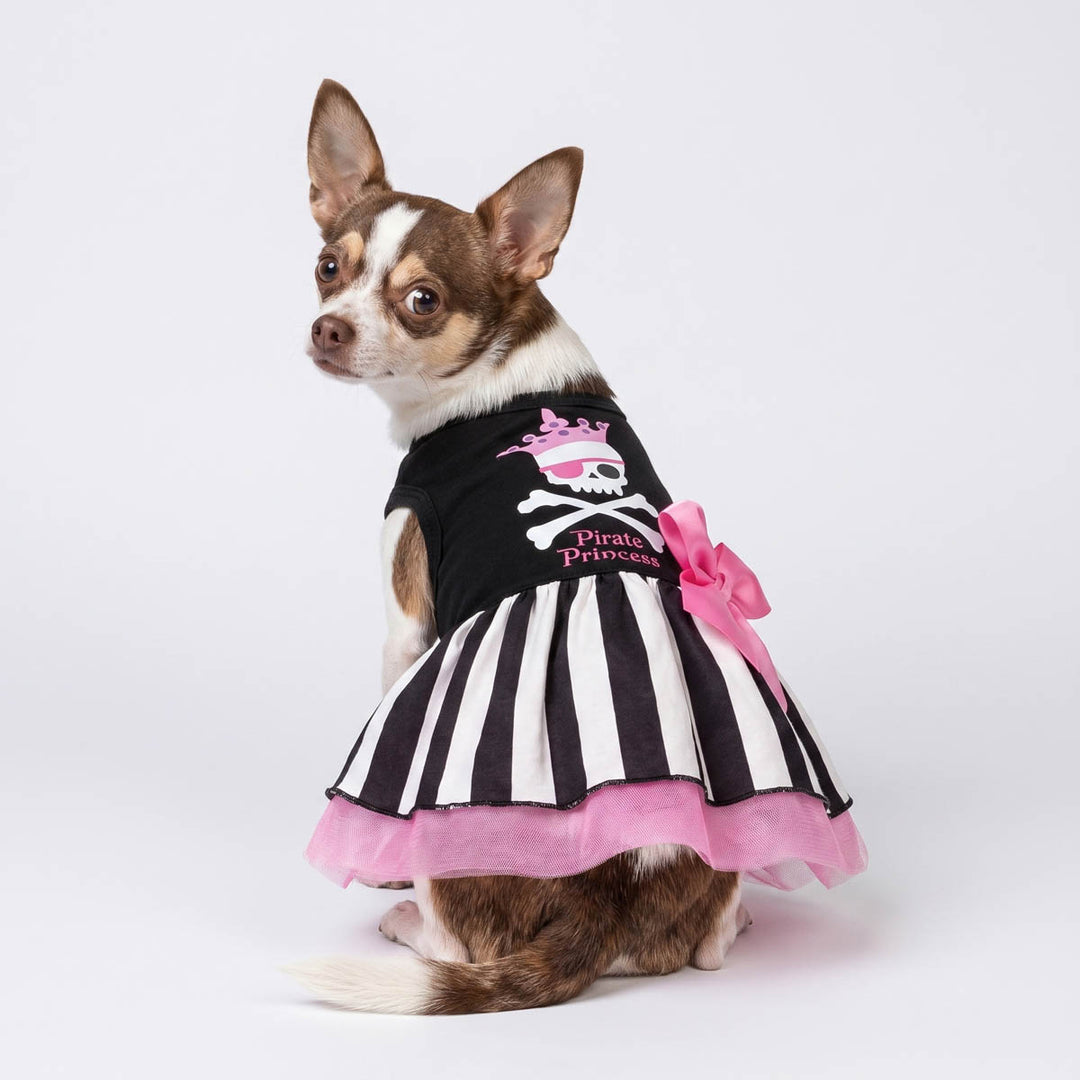 Small Chihuahua looks back with a black and white striped dog tutu dress with pink tulle trim, a pink bow, and a 'Pirate Princess' lettering on the back
