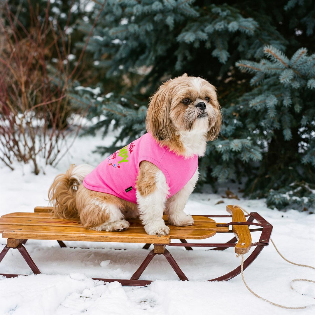 Small dog sitting on sled with a Christmas shirt for dogs with funny lettering and light prints
