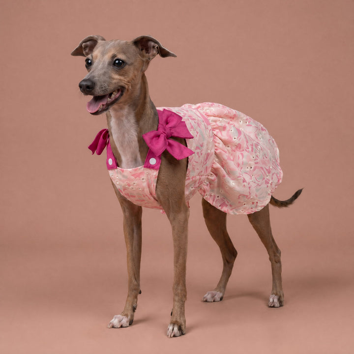 Ruffle Floral Embroidered Dog Dress