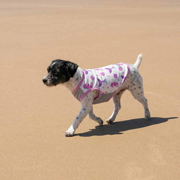 Dog wearing  purple and white patterned dog UV shirt with mesh fabric walking on beach