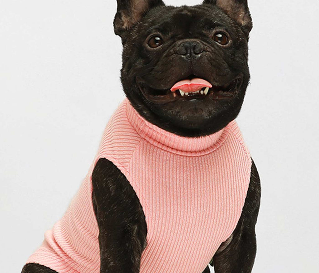 2-Pack Turtleneck French Bulldog Sweater Red-Pink - Fitwarm