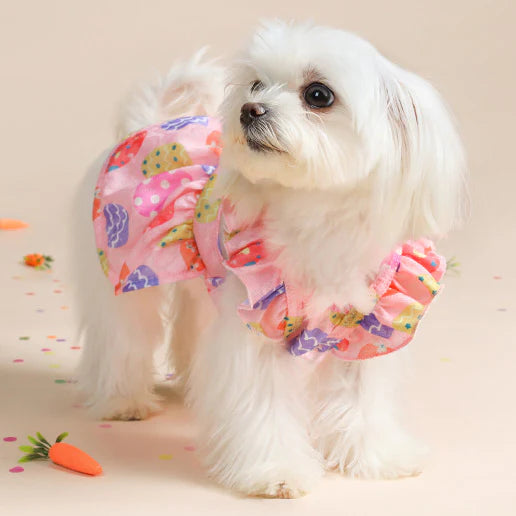 dog new years dress Amazon.com : Suhine 3 Pcs Pet Happy New Year Costume Dog New Years Outfit Accessories Includes Puppy Dogs Tutu Dress Pet Hat and Dog Triangle Bandana for Medium Large Pets Costume Supplies :