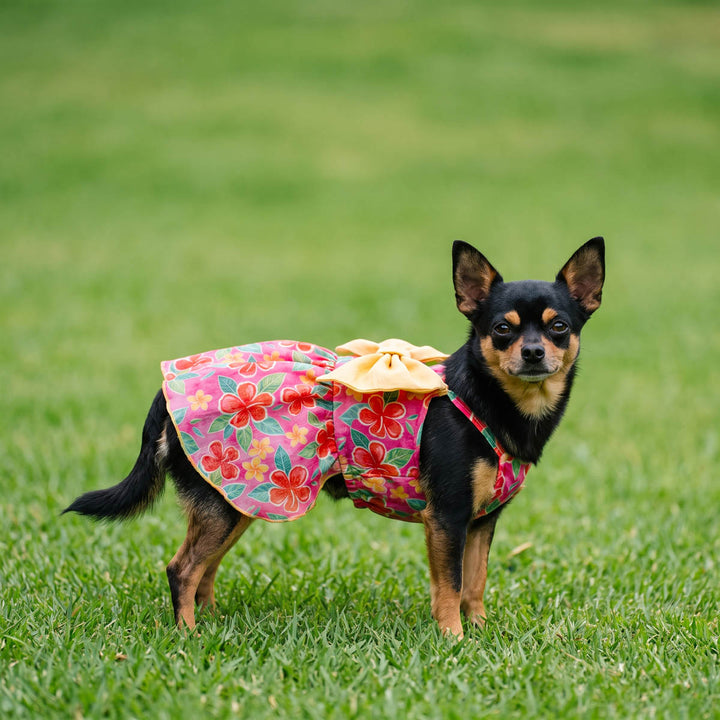 Small dog wearing a sweet dog summer dress with flower prints and bow on a grass field