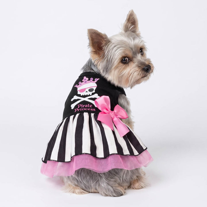 Small Yokrie wearing a black and white Halloween dog striped dress with pink tulle, a pink bow, and a skull-and-crossbones graphic with the words 'Pirate Princess'