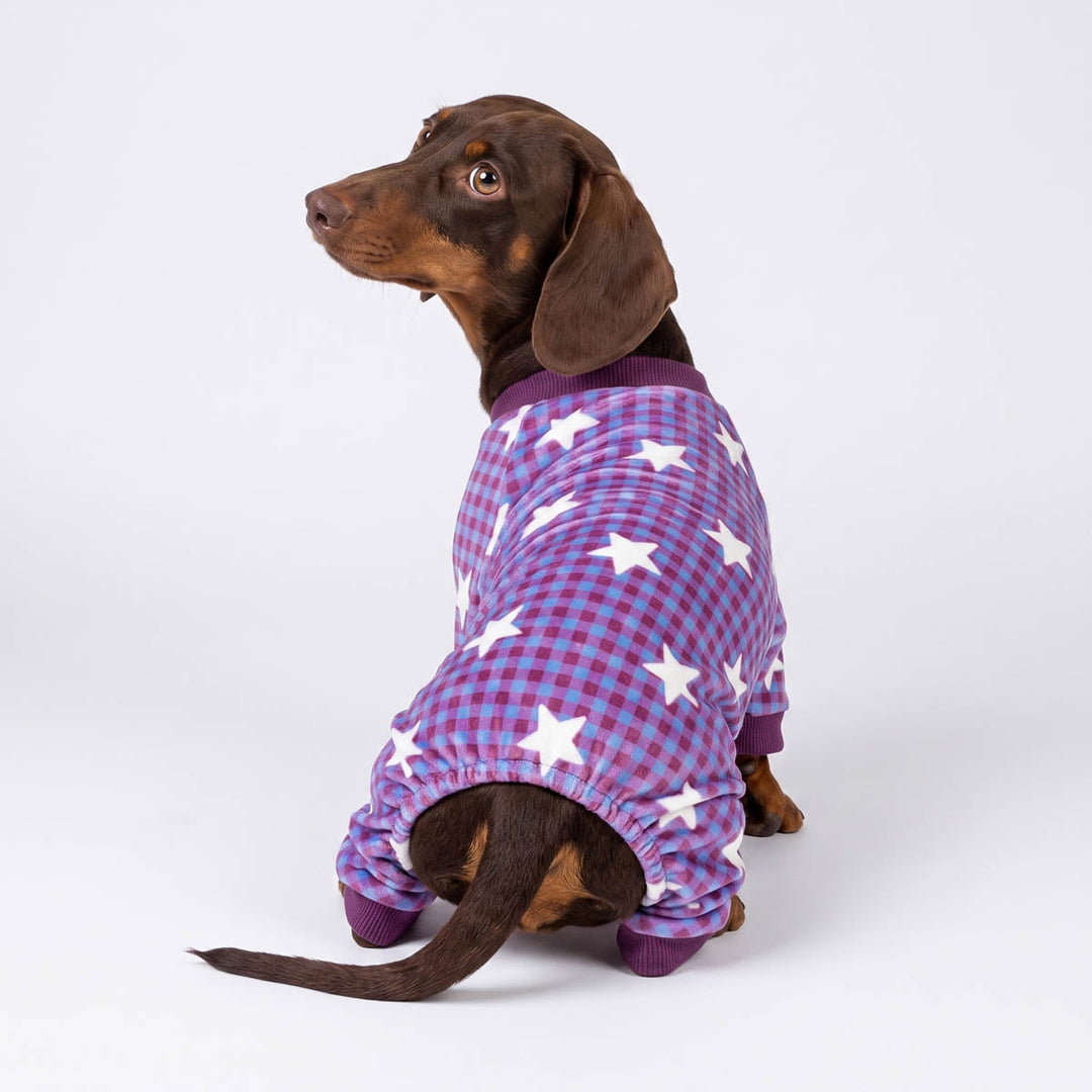 Dachshund looks back with a dog pjs with purple plaids and star