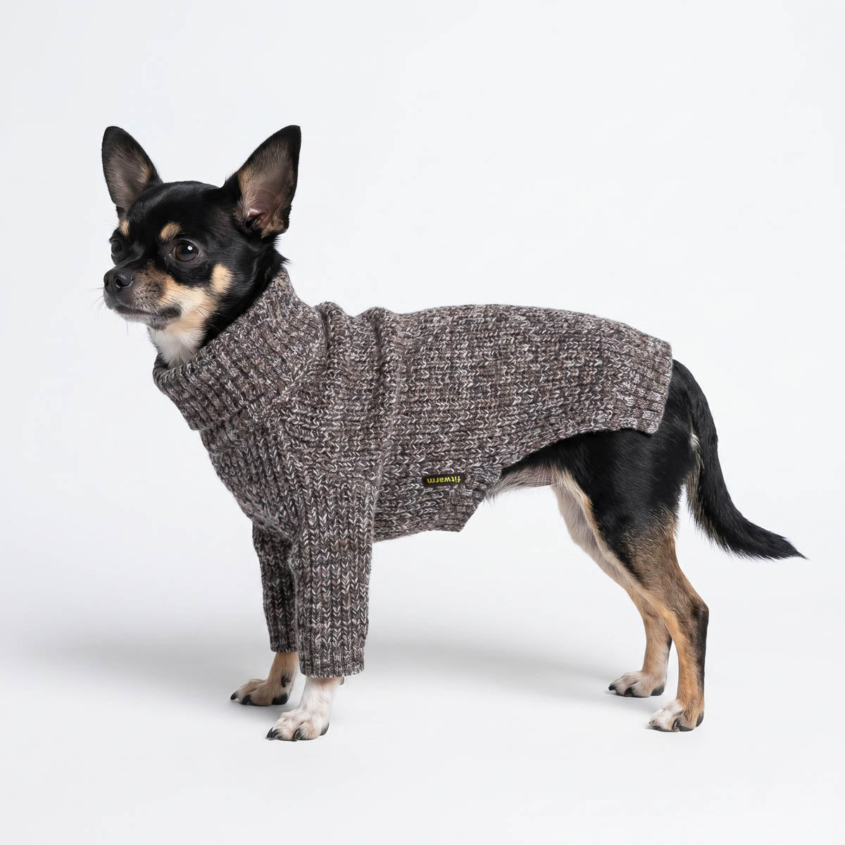 Turtleneck Knitted Dog Sweater for Chilly Days – Fitwarm