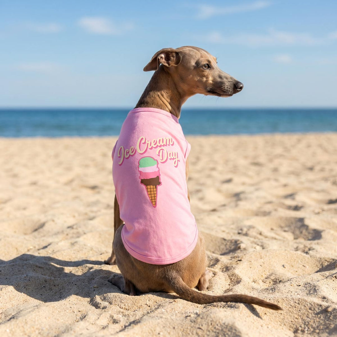 Dog wearing a pink 'Ice Cream Day' dog shirt on a sandy beach with ocean in the background