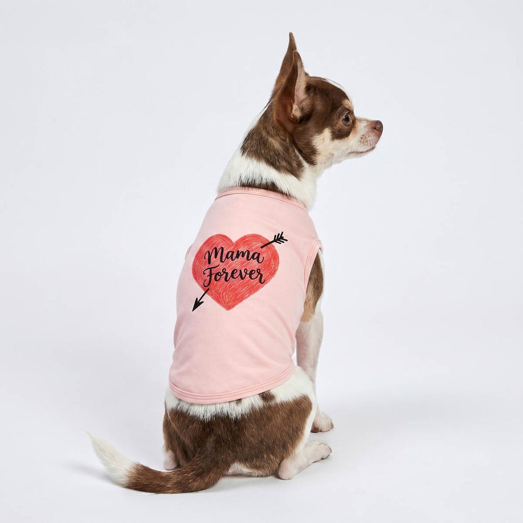 Back view of Chihuahua in a pink shirt for dogs in 'Mama forever' lettering