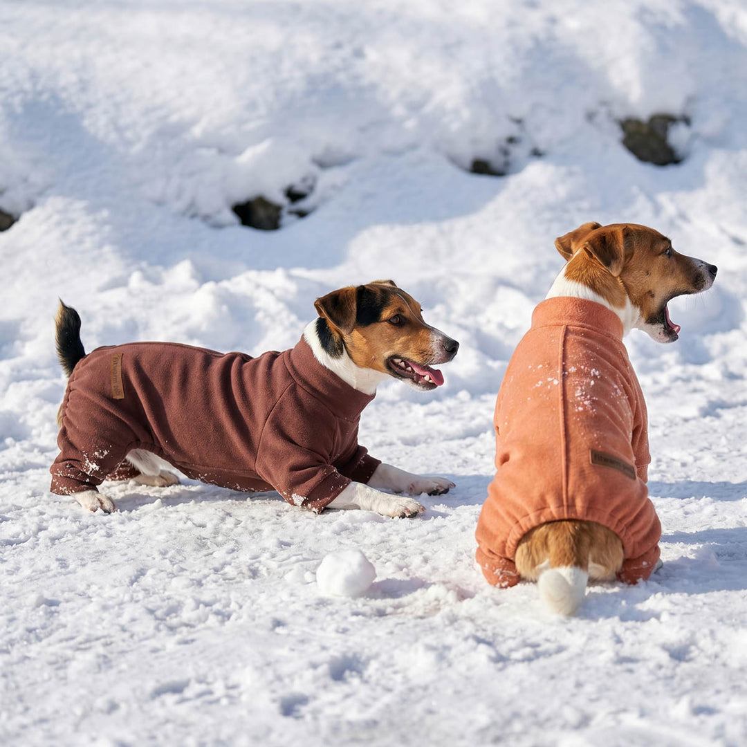Two dogs wearing 2 pack winter pajamas for dogs in snowy background