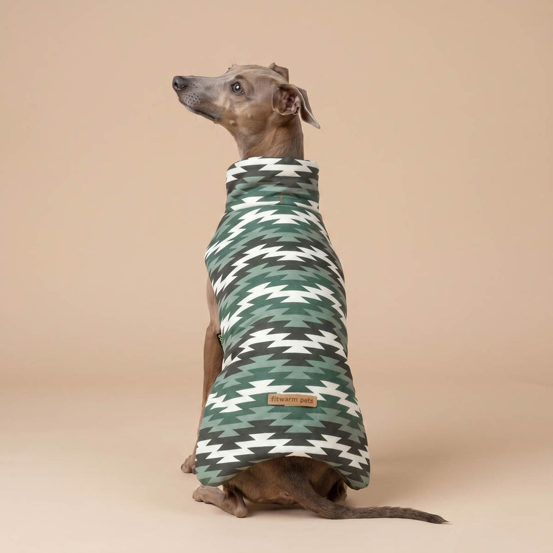 Greyhound dog wearing a green, white, and gray geometric patterned dog jacket, sitting against a solid beige studio background