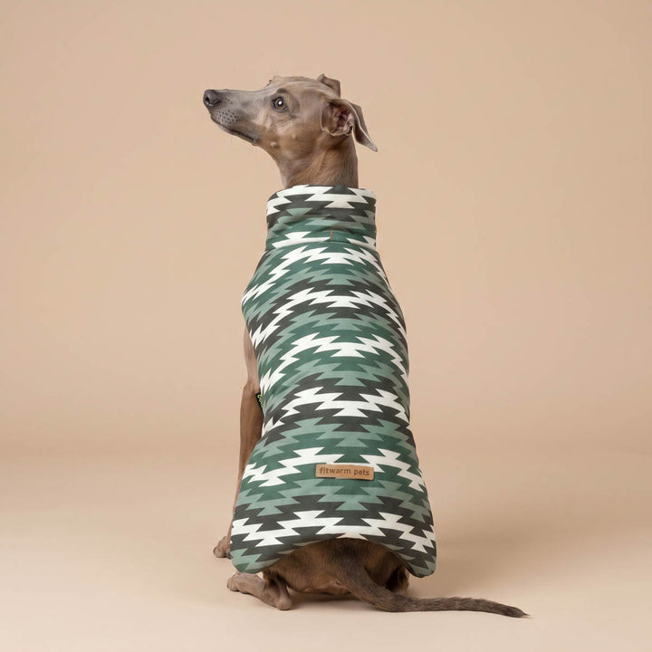Greyhound dog wearing a green, white, and gray geometric patterned dog jacket, sitting against a solid beige studio background