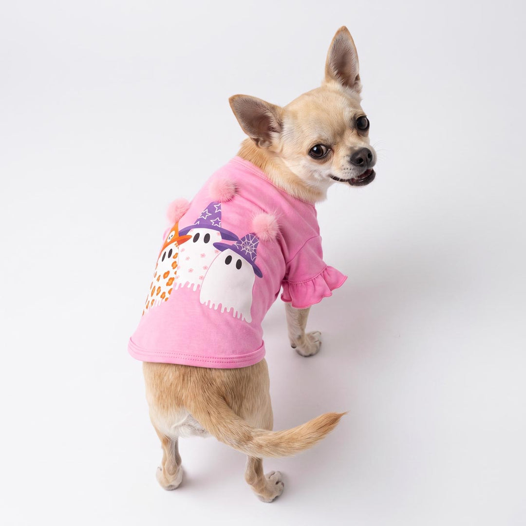 Small Chihuahua dog wearing a pink short-sleeve dog Halloween shirt with a ghost graphic, photographed against a seamless white studio background