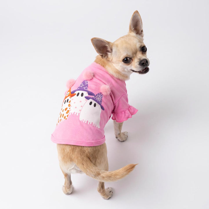 Small Chihuahua dog wearing a pink short-sleeve dog Halloween shirt with a ghost graphic, photographed against a seamless white studio background
