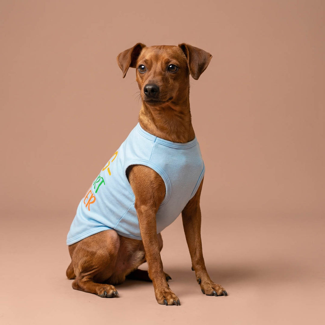 Small dog sitting in a beige background with a blue Easter dog tank top