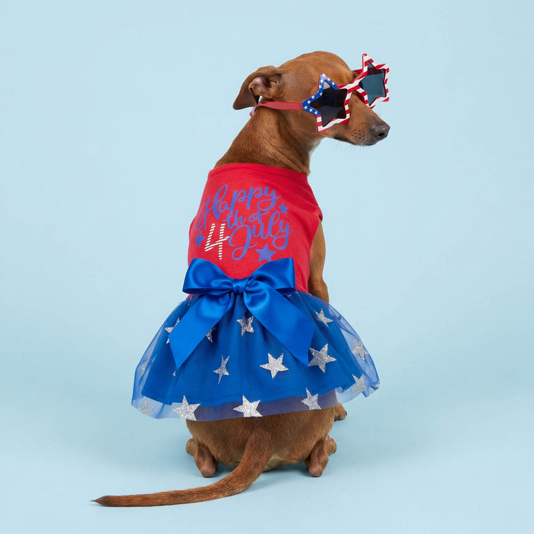 Dachshund looks back with 4th of July glasses and Happy 4th of July dog patriotic dress