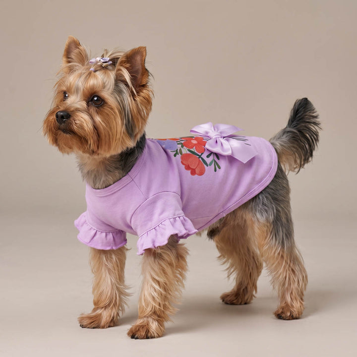 Yorkie wearing a ruffle dog t shirt with a floral prints in a beige background