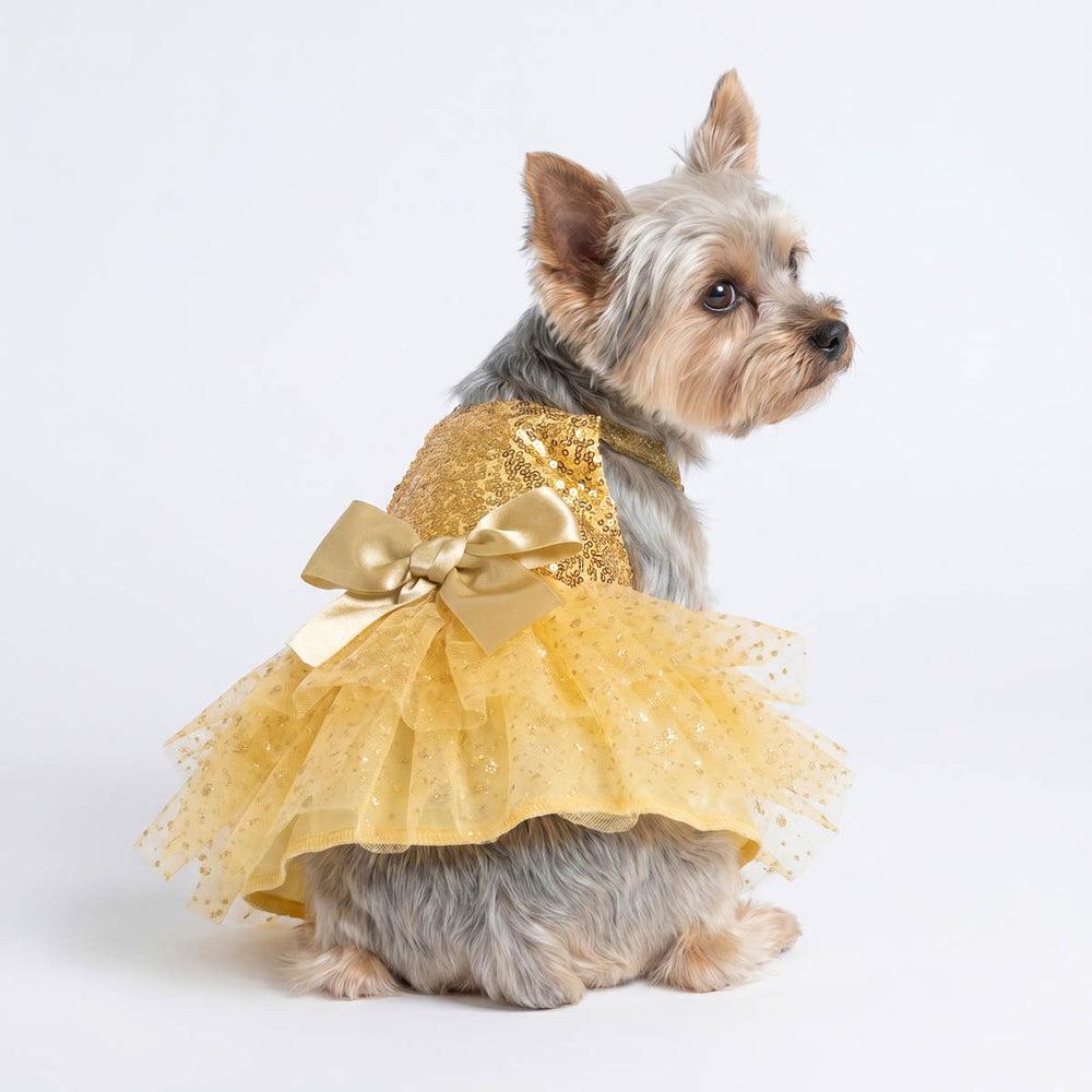 Back view of Yorkie in a sparkly dog tutu dress