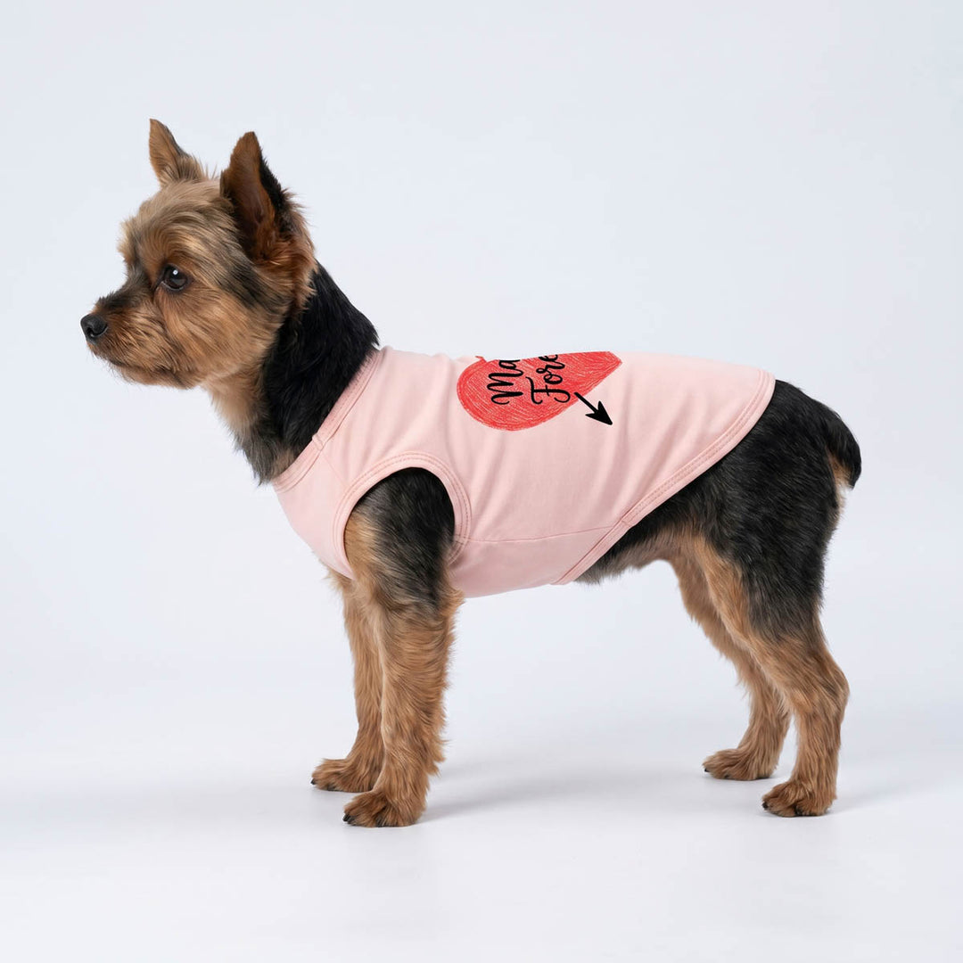 Yorkie dress in a pink dog tank top with heart print