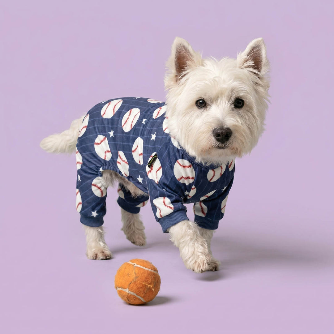 Westie wearing a dog pjs in baseball print and standing beside a ball