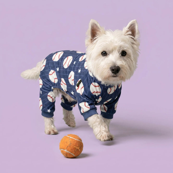 Westie wearing a dog pjs in baseball print and standing beside a ball