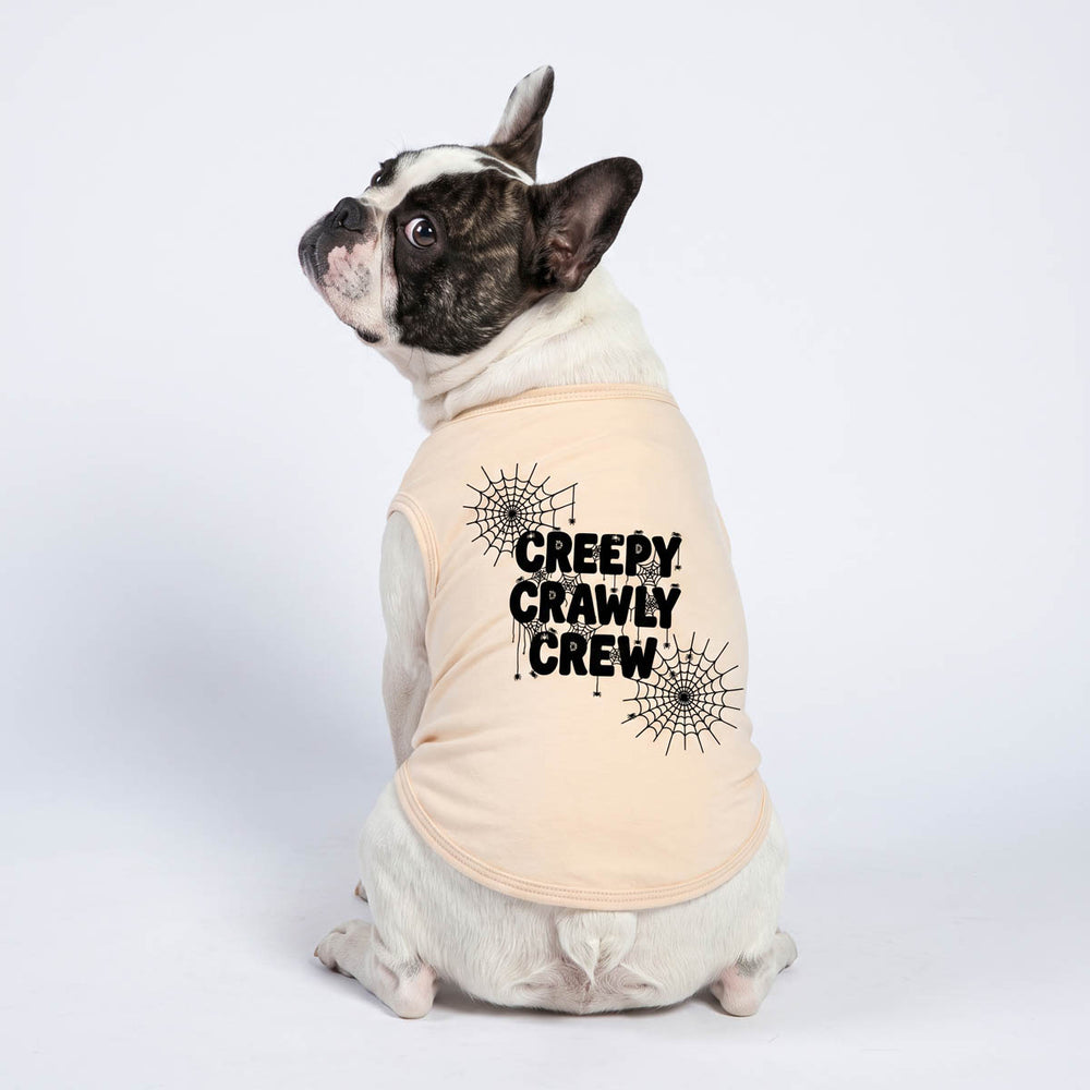 Back view of Boston Terrier wearing a dog Halloween shirt with 'Creepy Crawly Crew' lettering