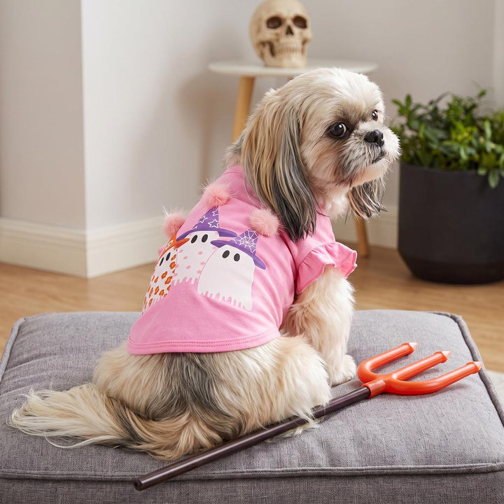 Small fluffy dog sits on a gray cushion indoors, wearing a pink shirt for dogs with  ghost prints