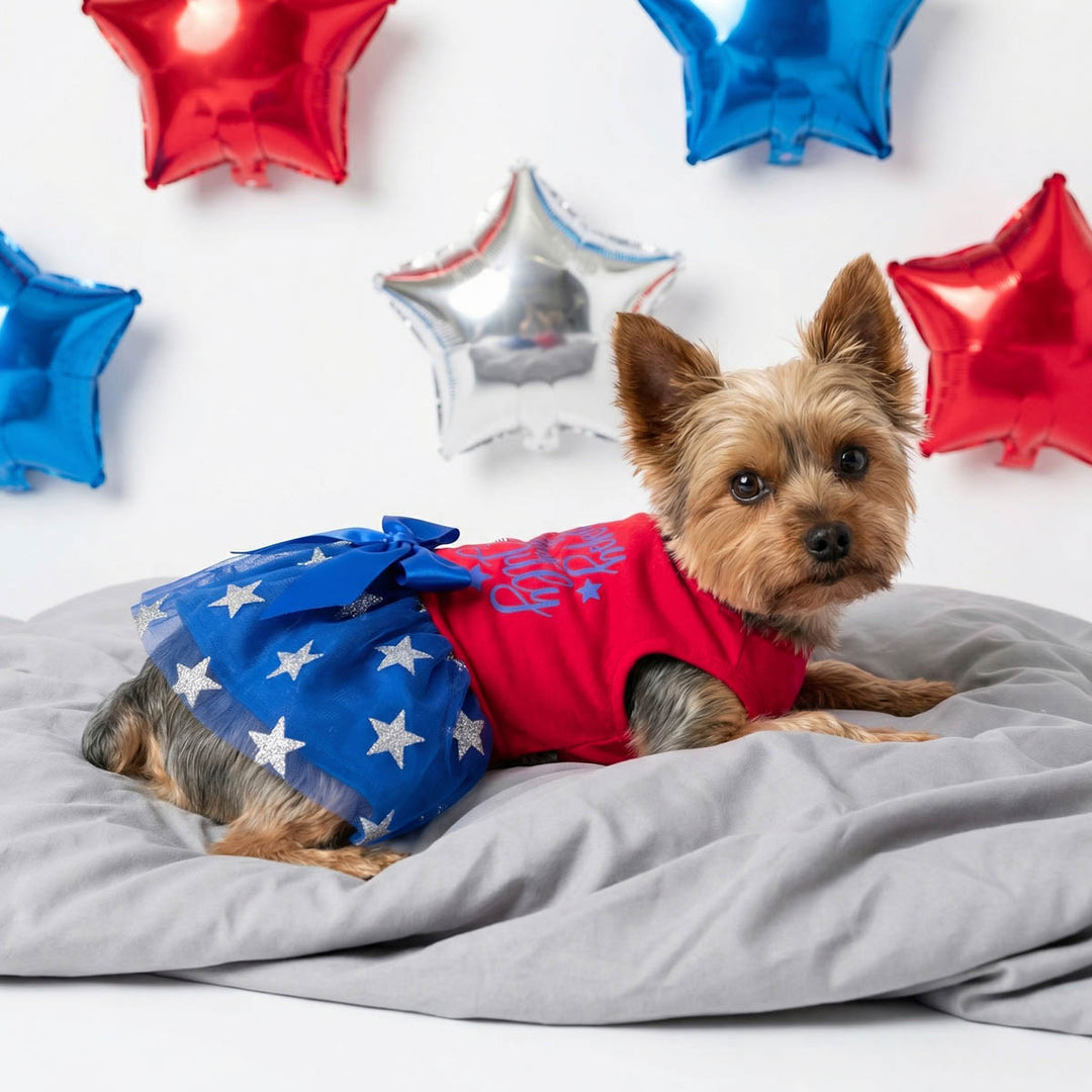 Yorkie lying on the bed with a patriotic dog tutu dress with bow and star prints