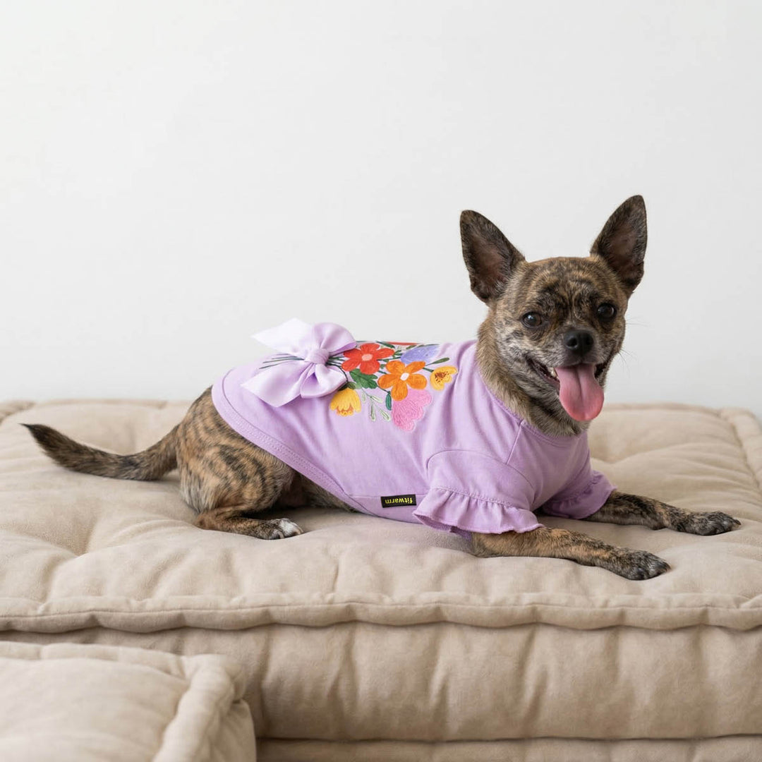 Chihuahua lying on the bed with a ruffle dog tshirt in flower prints and bow