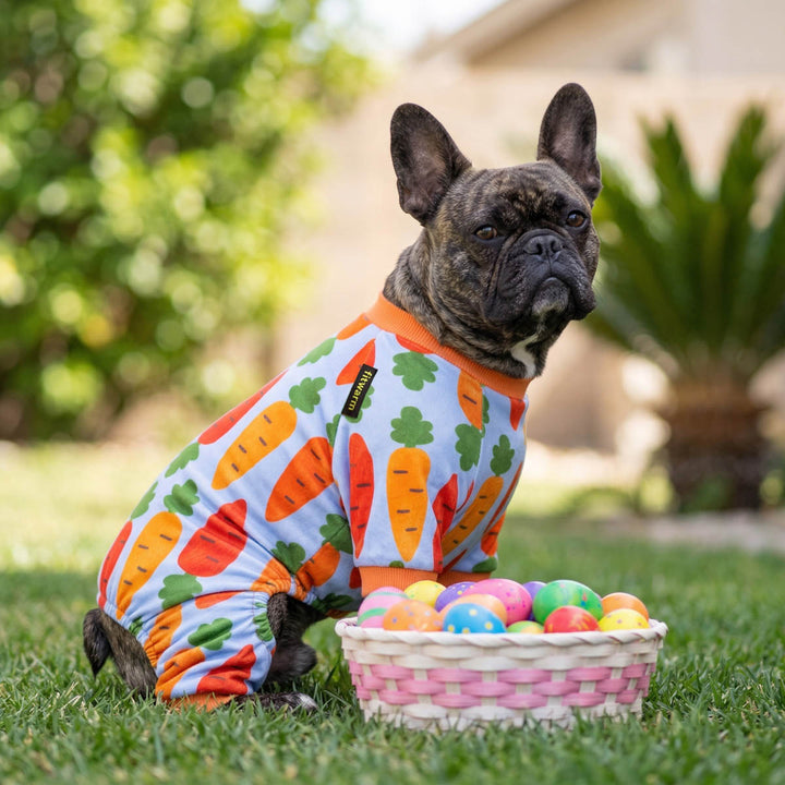 French Bulldog in an Easter carrot-patterned dog pjs, sitting next to a basket of Easter eggs outdoors
