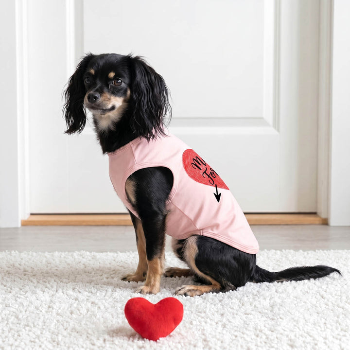 Small dog sitting indoors with sleeveless shirt for dogs after a heart toy
